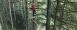 West of Portland, Tree to Tree Adventure Park offers an aerial obstacle course and zip line.