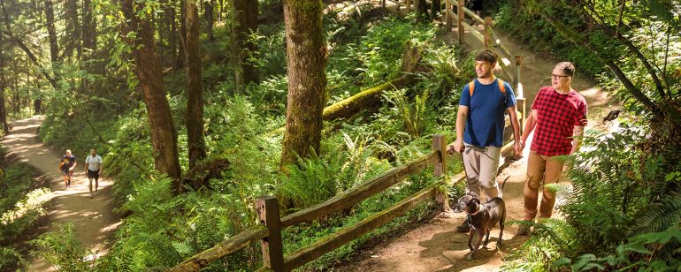 Portland\'s pet parents love hitting the trails in Forest Park.