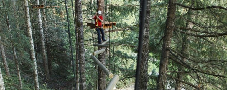 West of Portland, Tree to Tree Adventure Park offers an aerial obstacle course and zip line.