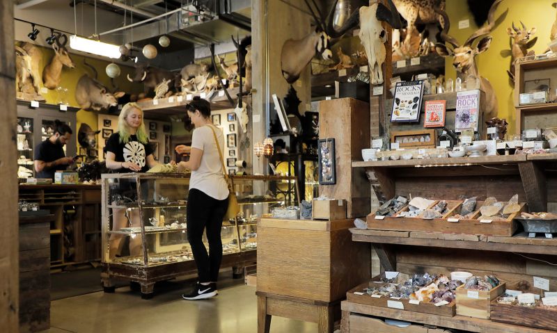 Paxton Gate on North Mississippi Avenue offers a plethora of taxidermy, preserved oddities and unique gifts.