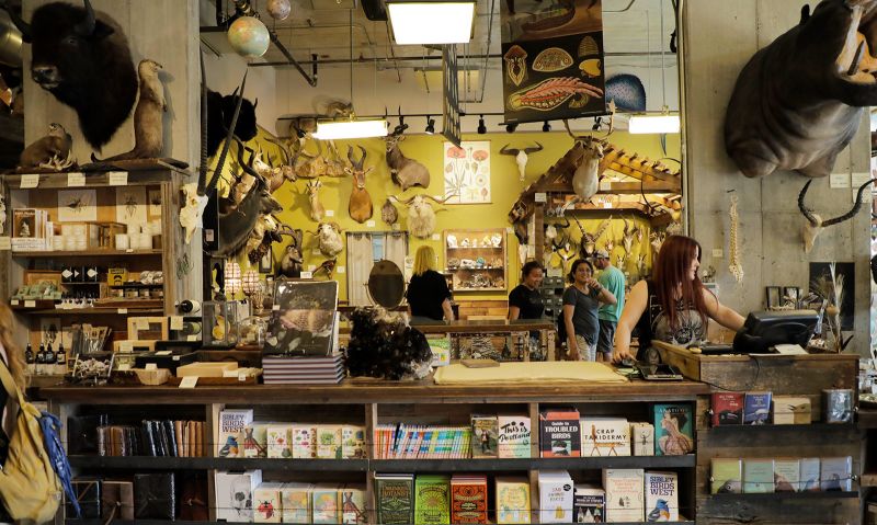 Paxton Gate on North Mississippi Avenue offers a plethora of taxidermy, preserved oddities and unique gifts.
