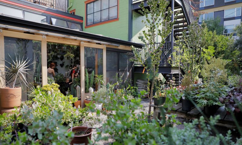 Pistils Nursery on North Mississippi Avenue offers plenty of gardening supplies, plants and resources, including a build-your-own-terrarium station.