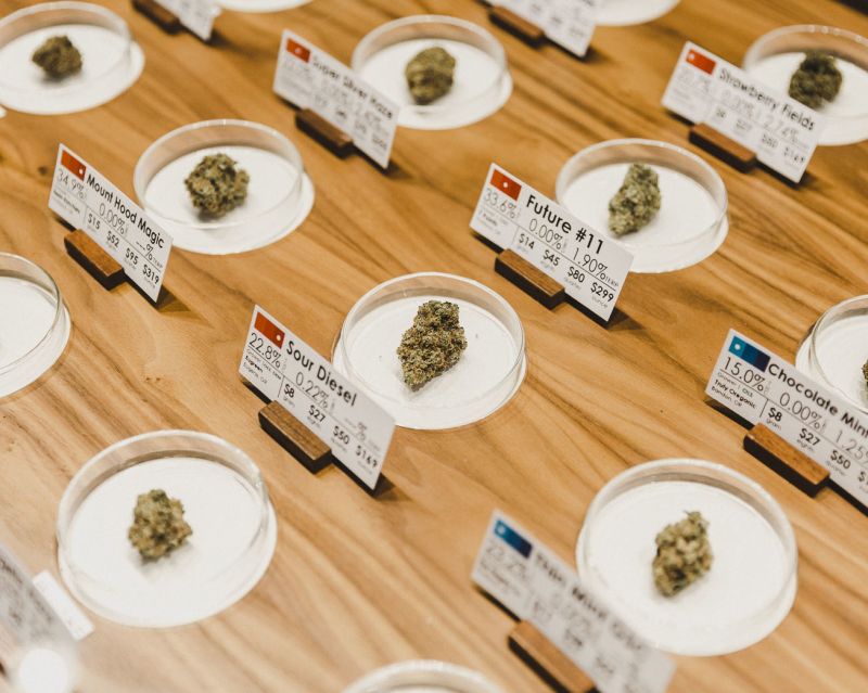 trays with example buds of cannabis set out for shoppers