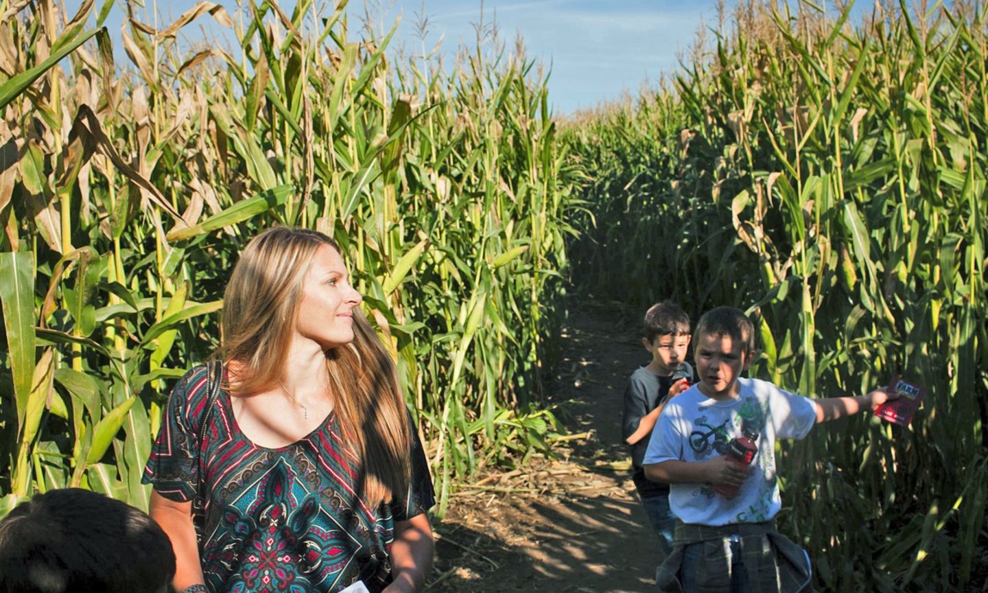 The Corn Maize on Sauvie Island The Official Guide to Portland