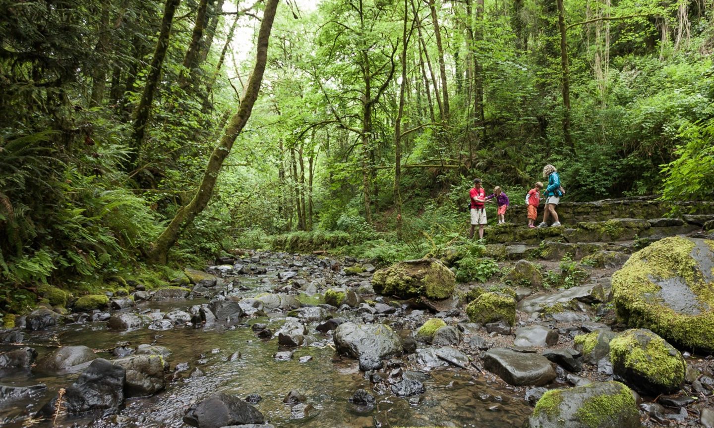 KidFriendly Hikes The Official Guide to Portland