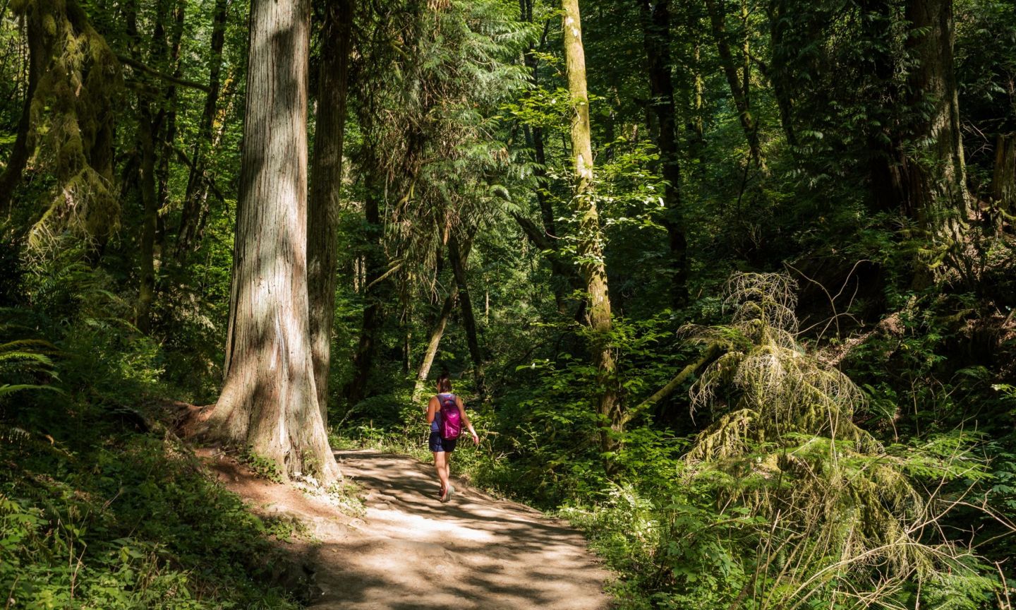 10 Best Hiking Trails Around Portland - Portland's Most Popular Hiking  Spots – Go Guides
