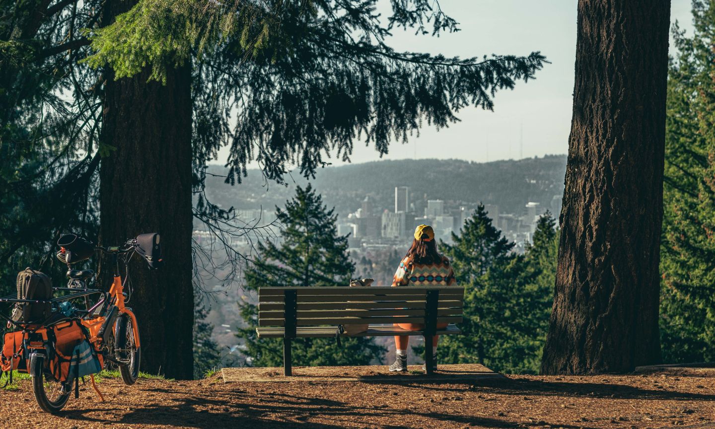 Eco Yoga Park, Local business