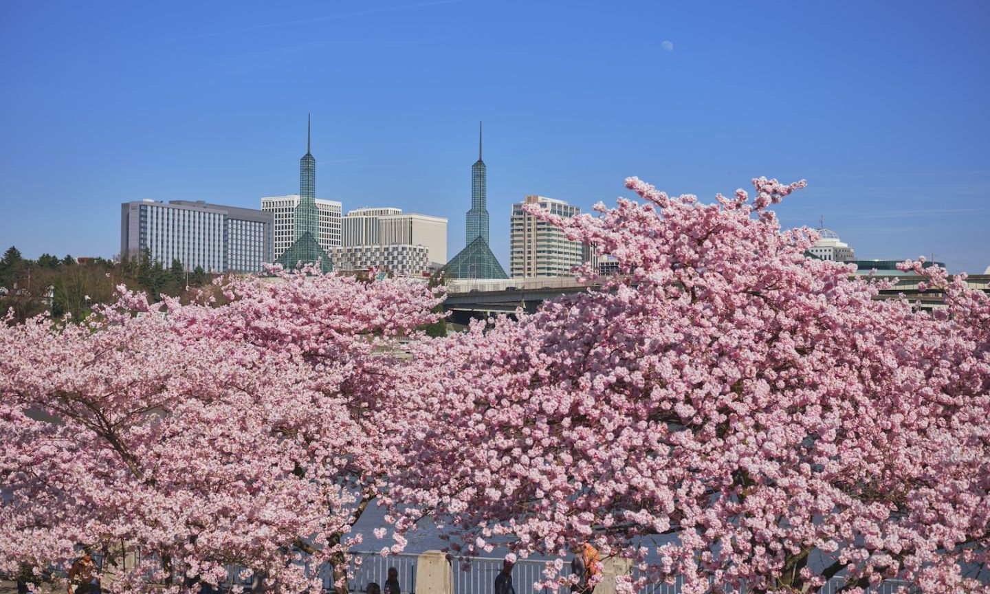 International Association of Forensic Nurses Annual Conference 2026