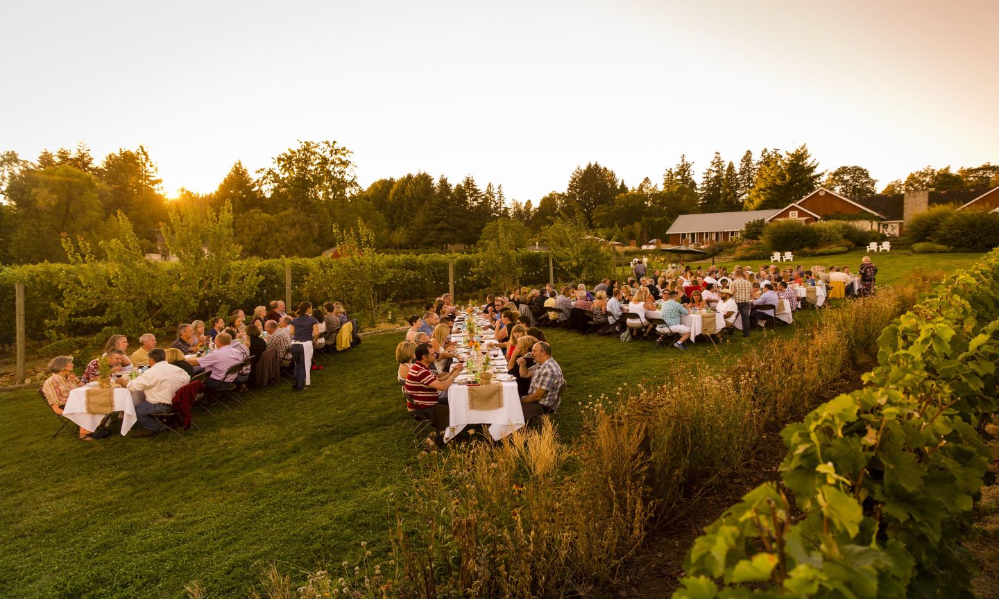 Friendsgiving Fall Dinner - June Farms