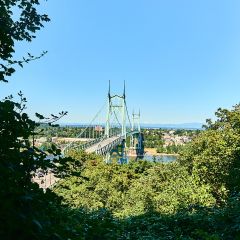 the light green st. johns bridge seen through trees