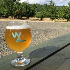 a glass of beer on an outdoor picnic table