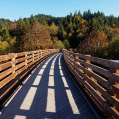 a pathway with railings in nature