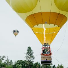 a yellow hot air balloon takes to the skies