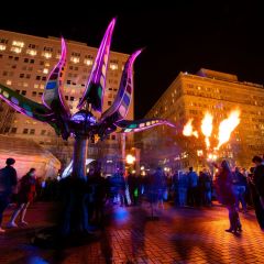 Portland Winter Light Festival