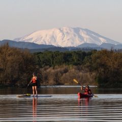 Kayakers and a stand-up paddle boarder ply the waters of Scapoose Bay