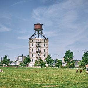 People lounging and walking dogs on the green lawn of a park in front of a large water tower