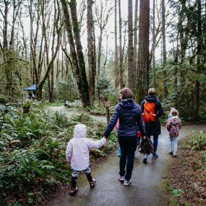 a small group of adults and children walk down a path in a forest