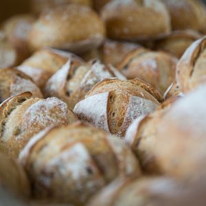 fresh baked bread rolls