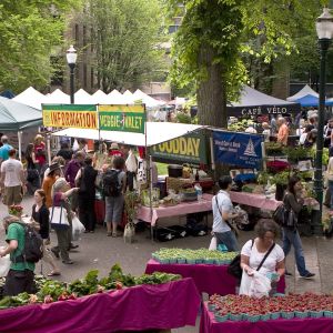 The Portland Farmers Market at PSU information tent with fresh squash, peas, peppers, zucchini and kale in the foreground.