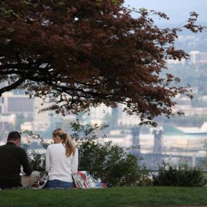 two people enjoy a picnic beneath a tree with a scenic city view