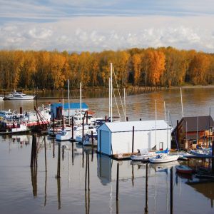 floating homes and house boats on the water