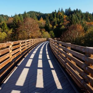 a pathway with railings in nature