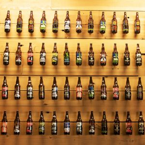 beer bottles displayed in lines against a wall