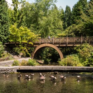 tall bridge with circular bracing above a pond with ducks amid a forested park