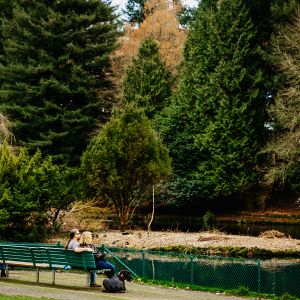 a couple with a dog and another person sit on a park bench