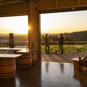 people stand on a patio sipping wine with a view of the valley as the sun sets