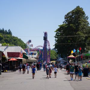 a crowd of people walking down the midway in an amusement park full of rides