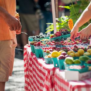 person buying fresh produce from a farmers market vendor