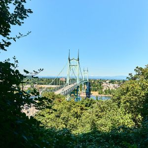 st. johns bridge seen through trees