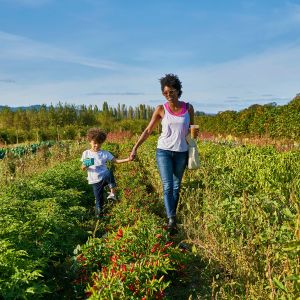 a woman and a child walk through garden at a pick your own vegetable farm