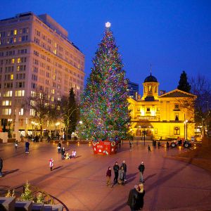 holiday tree lit up in a large city square