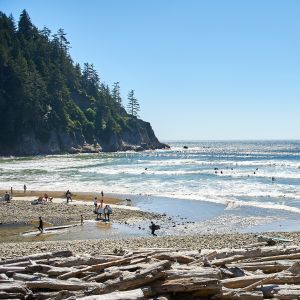 rugged coastline and a sandy beach on a sunny day