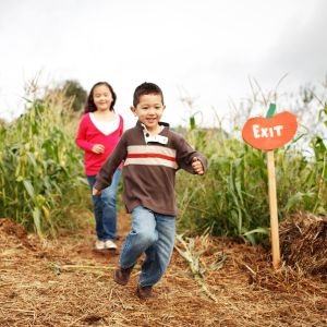 kids running through a pumpkin patch