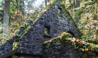 stone building covered in green moss and colorful fall leaves