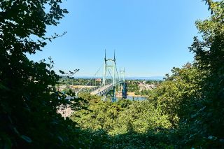 the light green st. johns bridge seen through trees