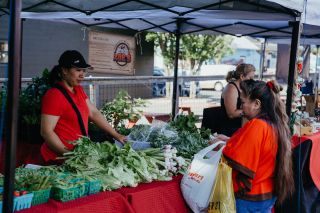 people shop for greens at the cully farmer's market