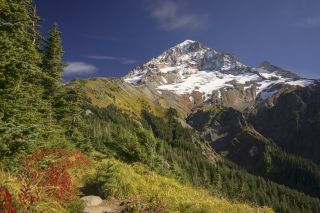 different shades of greens in brush and conifer trees fill the bottom of the frame and get more sparse to reveal a rocky mountain top with a little snow cover