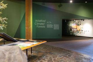 a museum exhibition showing the label "Wildfire/Climate/Forests"