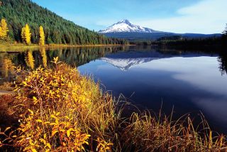 A snow-capped mountain is reflected in a lake with autumn foliage in the foreground