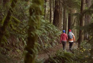 two people wearing jackets and hats walking along a path through dense trees