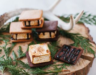 A plate of s'mores