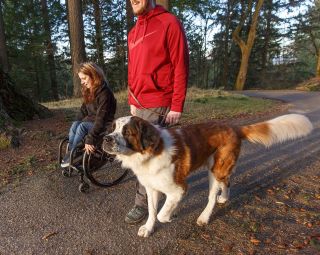 a girl in a wheelchair on nature trail with a man and a dog