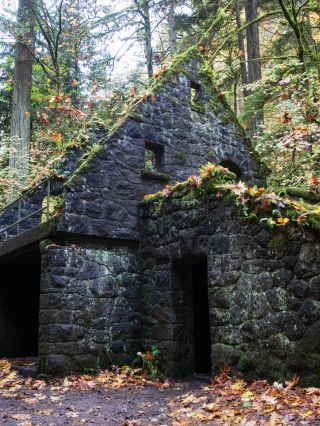 stone building covered in green moss and colorful fall leaves