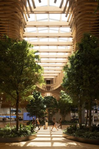 trees and wood ceiling with people in background