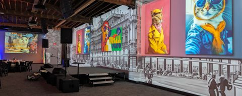 an event stage with large projection wall showing cats in costume behind it