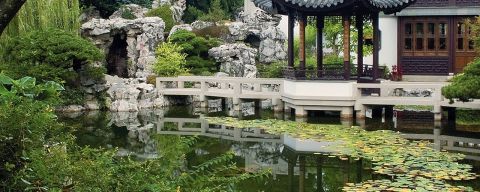 garden with Chinese inspired architecture